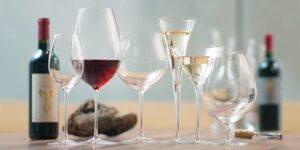 kích thước ly uống rượu vang